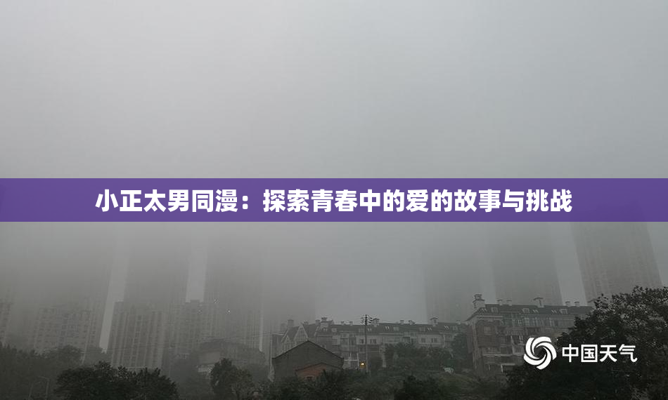 小正太男同漫：探索青春中的爱的故事与挑战