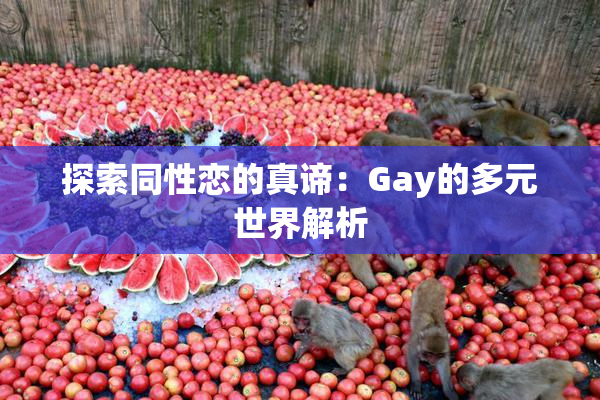 探索同性恋的真谛：Gay的多元世界解析