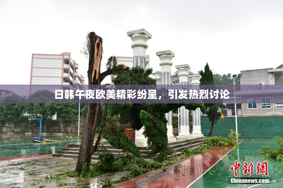 日韩午夜欧美精彩纷呈，引发热烈讨论