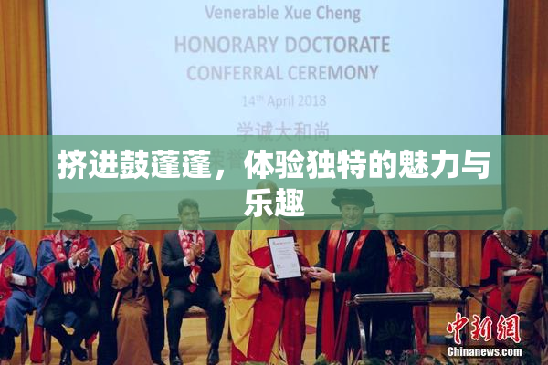 挤进鼓蓬蓬，体验独特的魅力与乐趣
