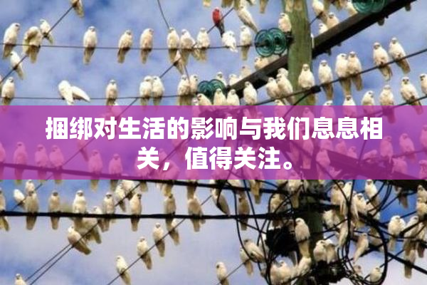 捆绑对生活的影响与我们息息相关，值得关注。