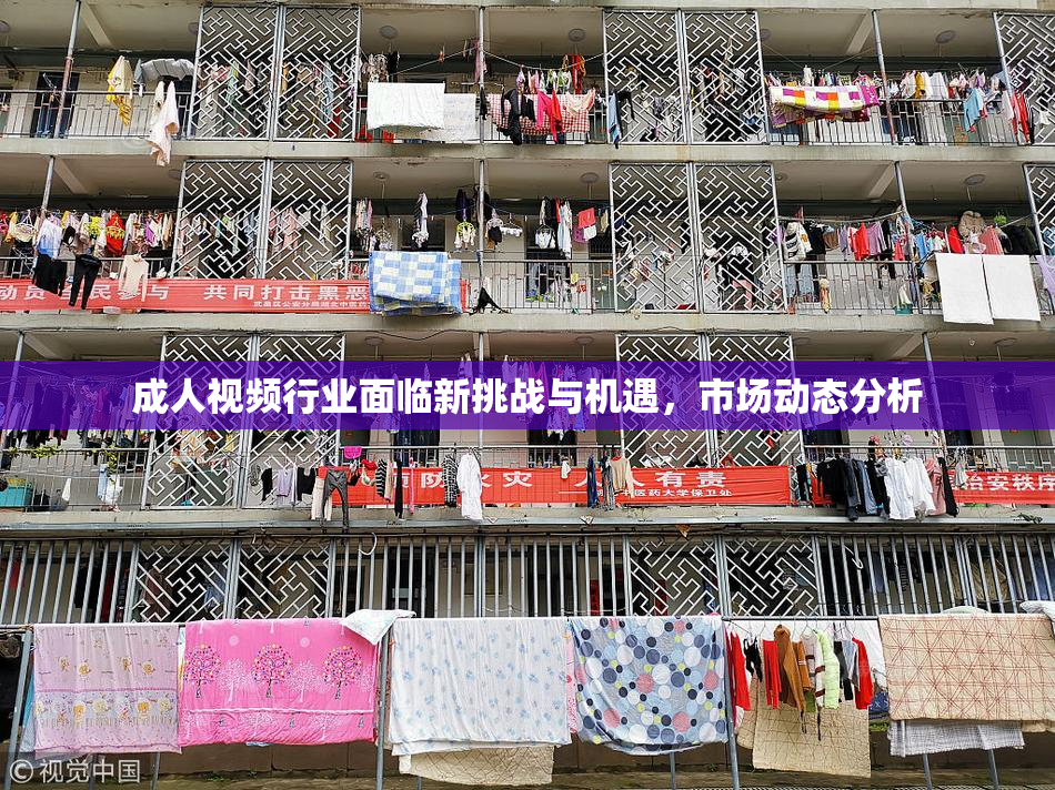 成人视频行业面临新挑战与机遇，市场动态分析