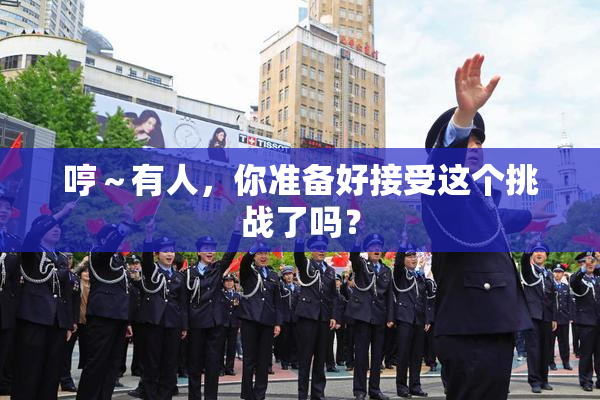 哼～有人，你准备好接受这个挑战了吗？