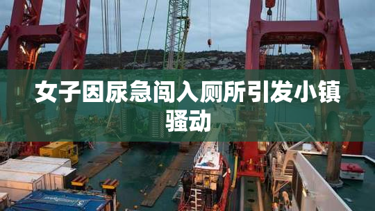 女子因尿急闯入厕所引发小镇骚动