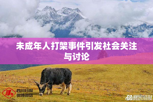 未成年人打架事件引发社会关注与讨论