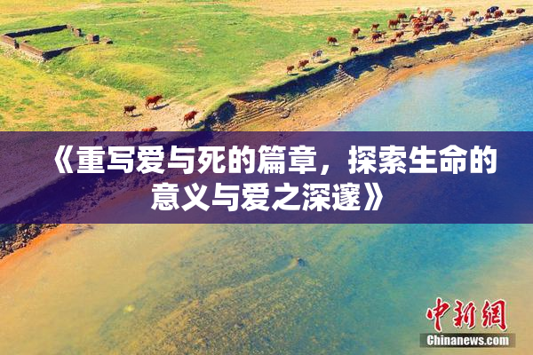 《重写爱与死的篇章，探索生命的意义与爱之深邃》