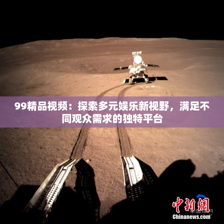 99精品视频：探索多元娱乐新视野，满足不同观众需求的独特平台
