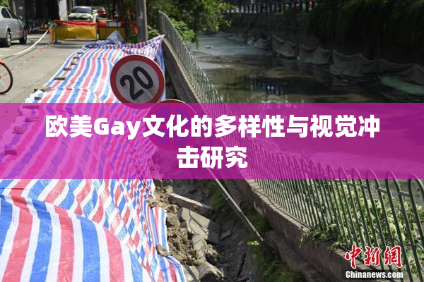 欧美Gay文化的多样性与视觉冲击研究