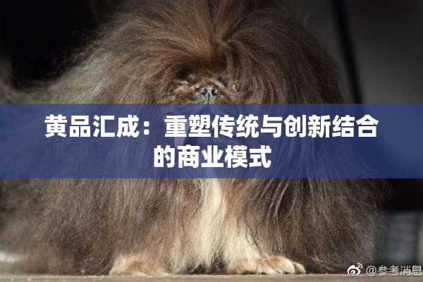 黄品汇成：重塑传统与创新结合的商业模式