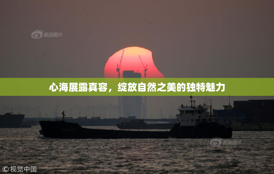 心海展露真容，绽放自然之美的独特魅力