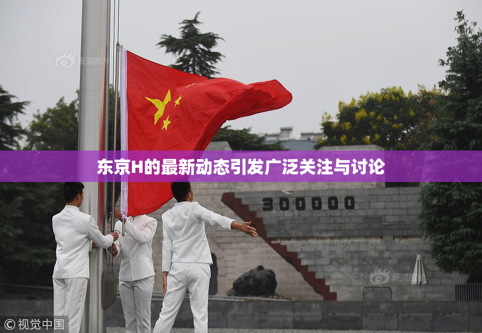 东京H的最新动态引发广泛关注与讨论
