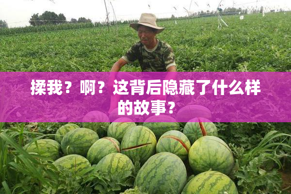 揉我？啊？这背后隐藏了什么样的故事？