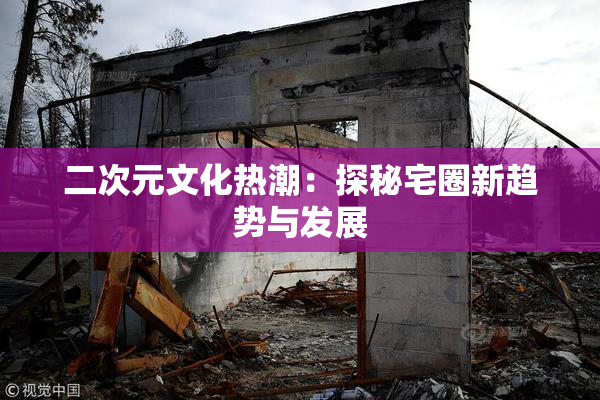 二次元文化热潮：探秘宅圈新趋势与发展