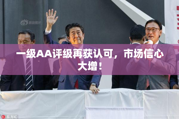 一级AA评级再获认可，市场信心大增！