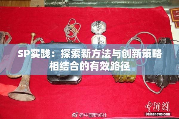 SP实践：探索新方法与创新策略相结合的有效路径