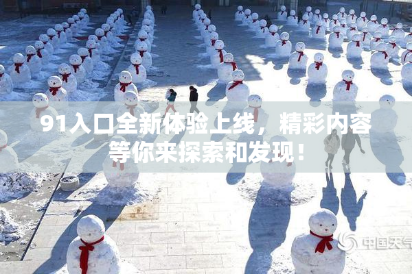 91入口全新体验上线，精彩内容等你来探索和发现！