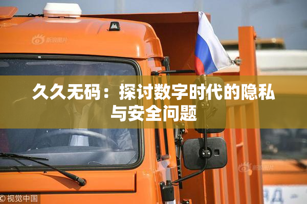 久久无码：探讨数字时代的隐私与安全问题