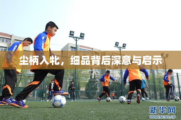 尘柄入牝，细品背后深意与启示
