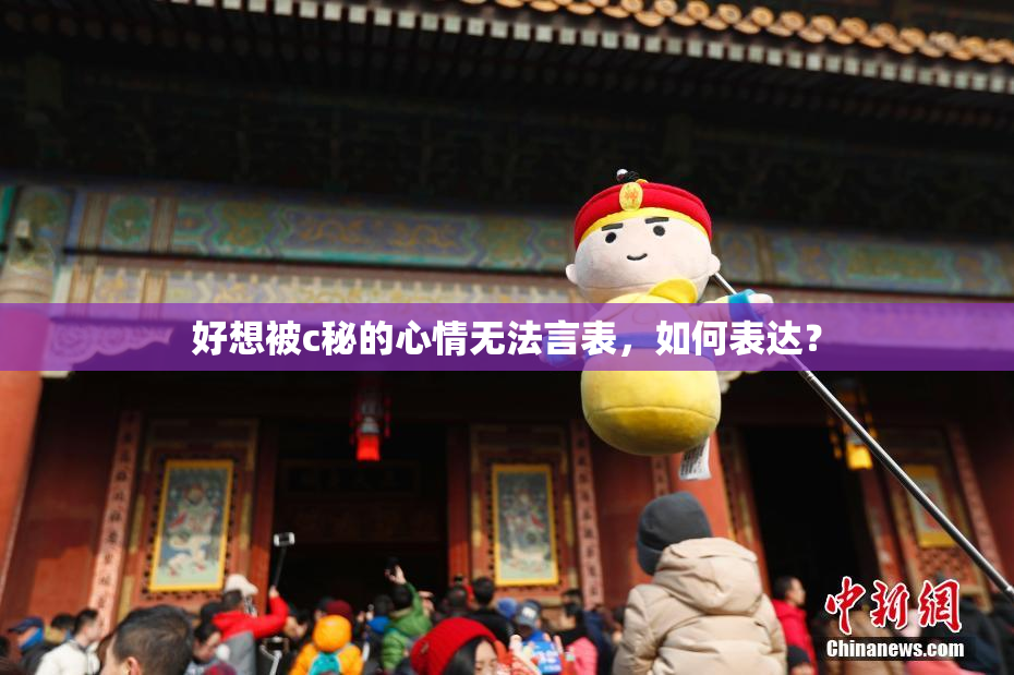 好想被c秘的心情无法言表，如何表达？