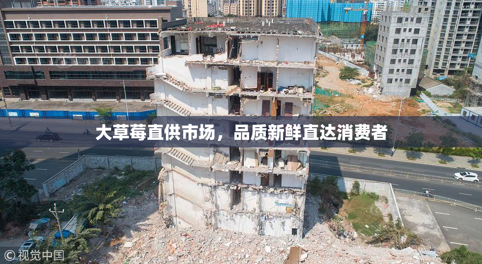 大草莓直供市场，品质新鲜直达消费者