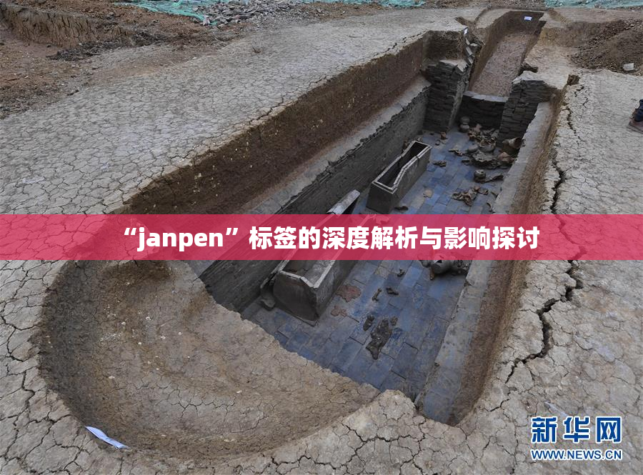“janpen”标签的深度解析与影响探讨