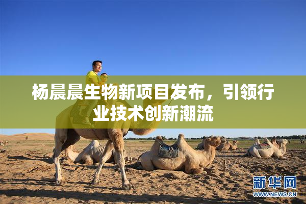 杨晨晨生物新项目发布，引领行业技术创新潮流