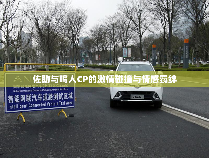 佐助与鸣人CP的激情碰撞与情感羁绊