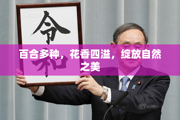百合多种，花香四溢，绽放自然之美