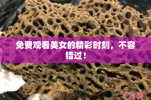 免费观看美女的精彩时刻，不容错过！