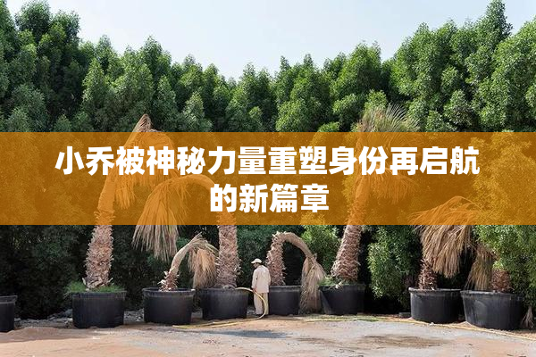 小乔被神秘力量重塑身份再启航的新篇章