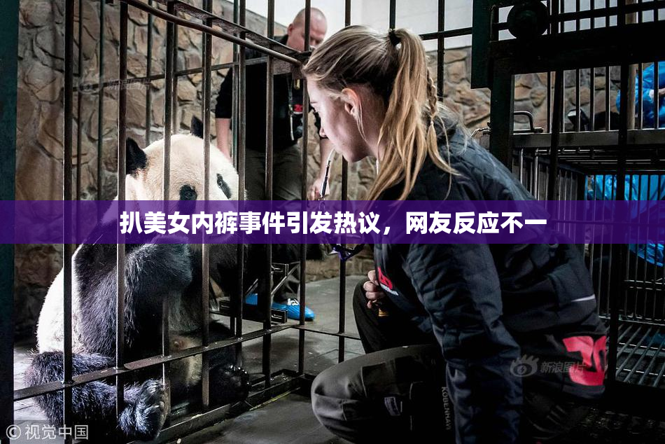 扒美女内裤事件引发热议，网友反应不一