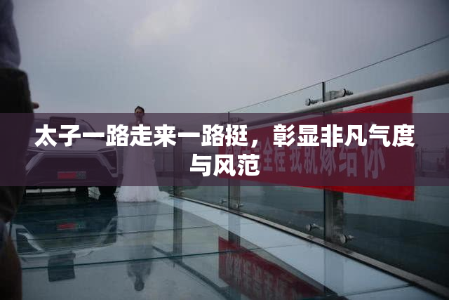 太子一路走来一路挺，彰显非凡气度与风范