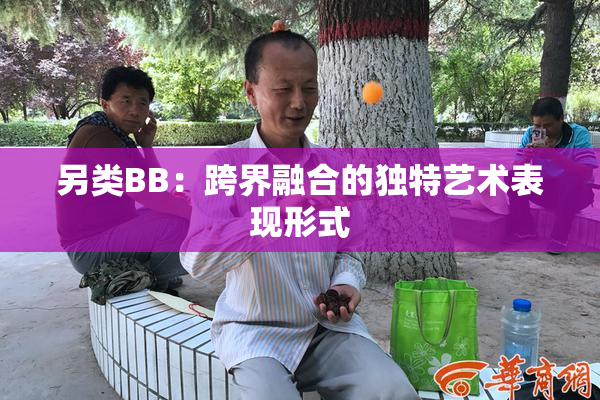 另类BB：跨界融合的独特艺术表现形式