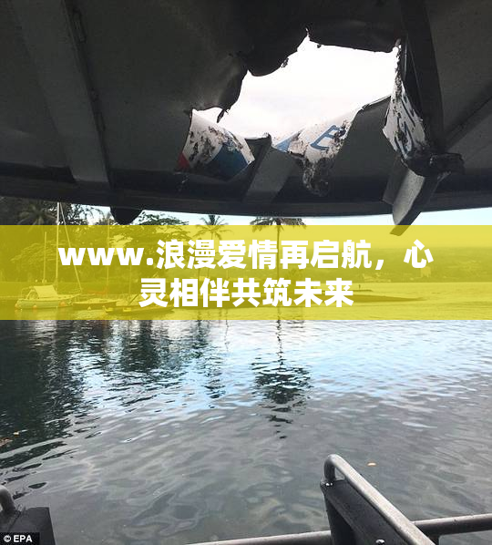 www.浪漫爱情再启航，心灵相伴共筑未来
