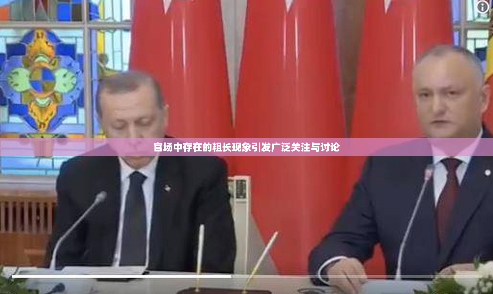官场中存在的粗长现象引发广泛关注与讨论