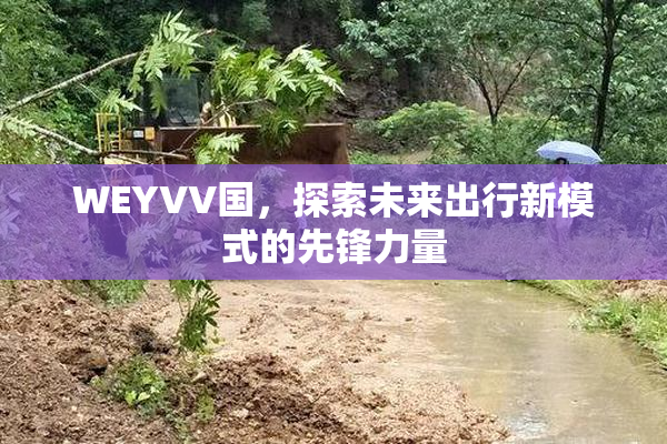 WEYVV国，探索未来出行新模式的先锋力量