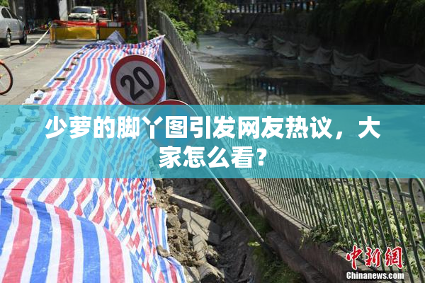 少萝的脚丫图引发网友热议，大家怎么看？