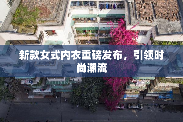 新款女式内衣重磅发布，引领时尚潮流