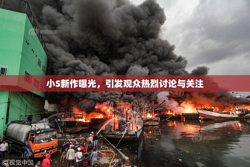 小S新作曝光，引发观众热烈讨论与关注