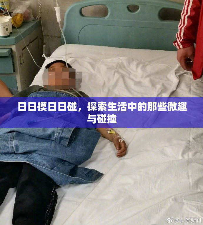 日日摸日日碰，探索生活中的那些微趣与碰撞