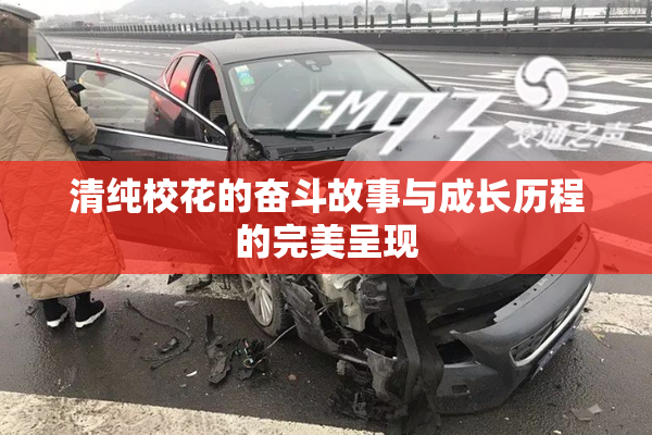 清纯校花的奋斗故事与成长历程的完美呈现