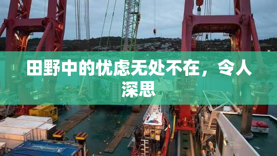 田野中的忧虑无处不在，令人深思