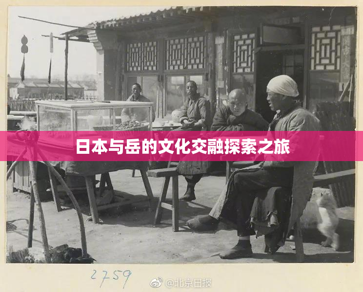 日本与岳的文化交融探索之旅