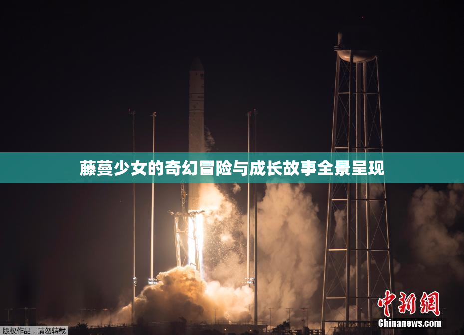 藤蔓少女的奇幻冒险与成长故事全景呈现