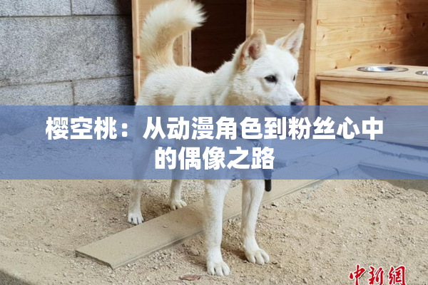 樱空桃：从动漫角色到粉丝心中的偶像之路