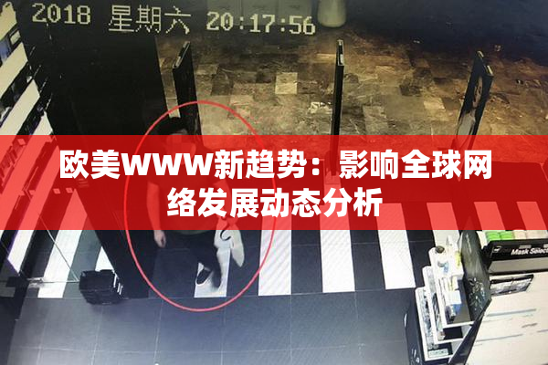 欧美WWW新趋势：影响全球网络发展动态分析