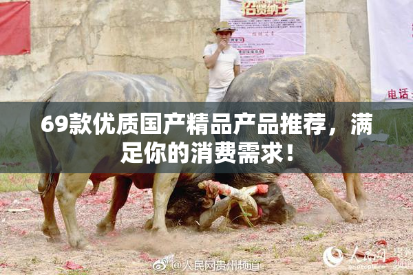 69款优质国产精品产品推荐，满足你的消费需求！