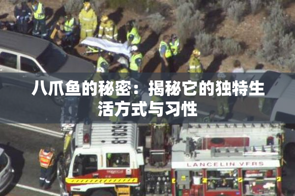 八爪鱼的秘密：揭秘它的独特生活方式与习性