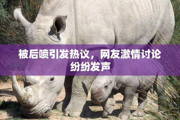 被后喷引发热议，网友激情讨论纷纷发声