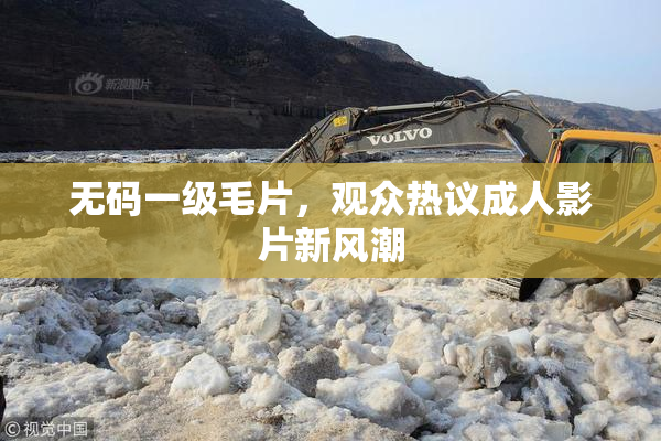 无码一级毛片，观众热议成人影片新风潮